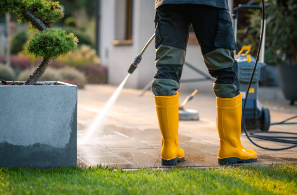 Best Power Washing Near Me  in Hickory Creek, TX